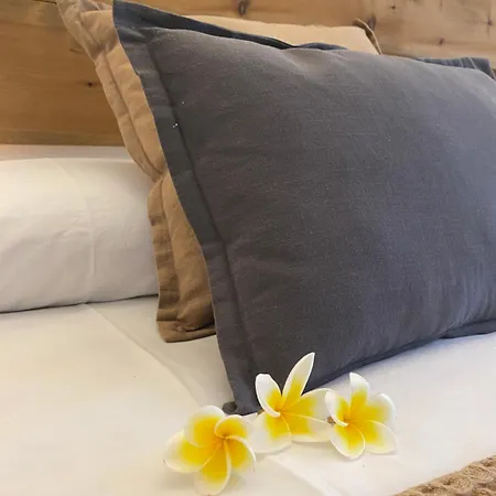 Terra Sana Casita *